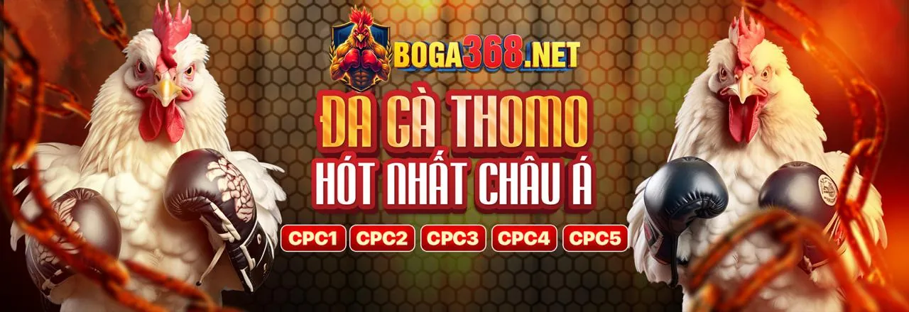 Tin tức mới nhất về d9bet win