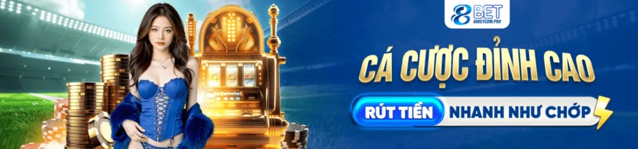 Tổng quan về nền tảng cá cược trực tuyến d9bet win