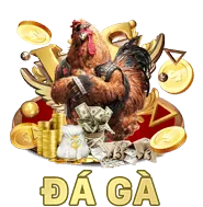 Đội ngũ chuyên nghiệp d9bet win