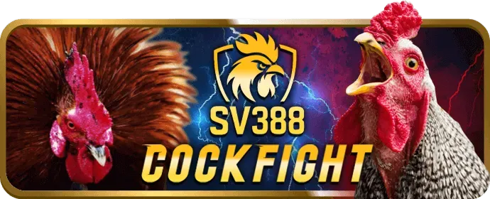 Thẻ VIP vàng với các đặc quyền, chương trình VIP d9bet win