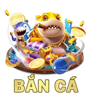 Đa kênh hỗ trợ d9bet win
