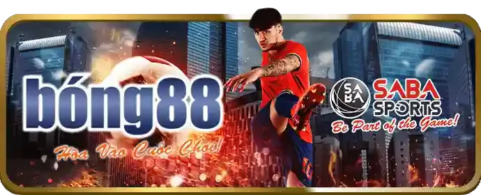 Cá cược Thể Thao d9bet win